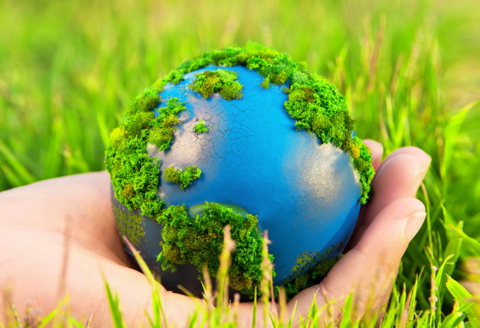 Фото 34 — Какие обычаи помогают сохранить окружающую среду?