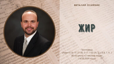 Photo of Закон о халяльной пище